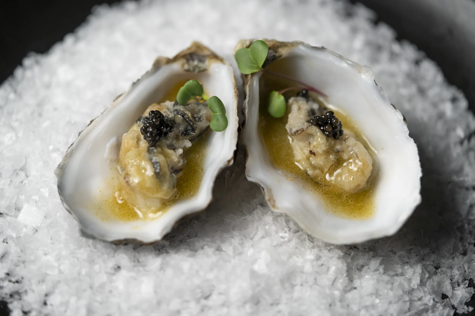 Ostras frescas con caviar y brotes servidas sobre sal marina en el restaurante Oculto